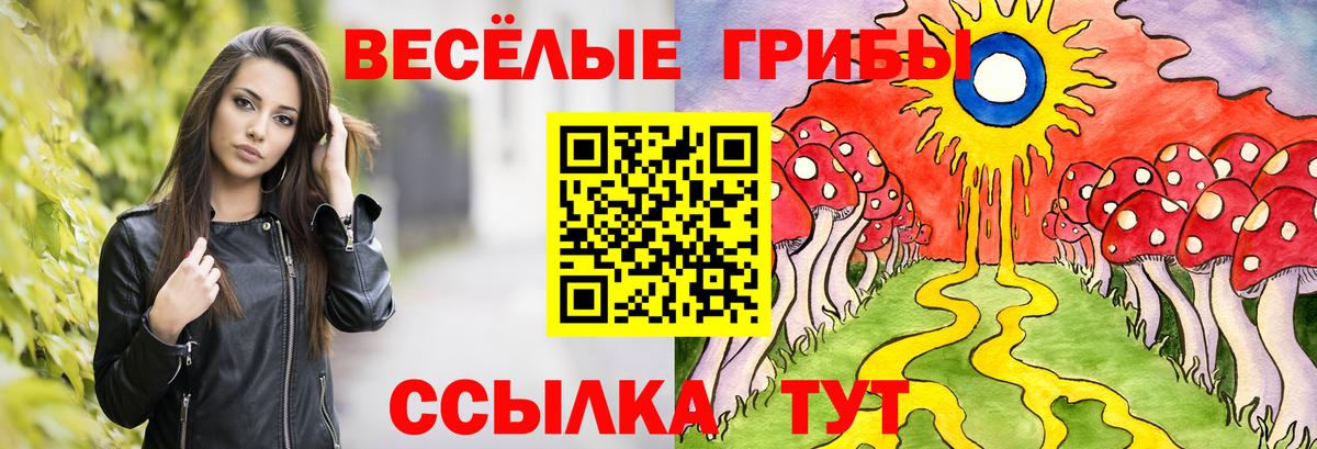 Галлюциногенные грибы Psilocybine cubensis Воронеж